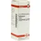 ECHINACEA HAB Tintura mãe, 20 ml
