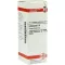 ECHINACEA HAB Diluição D 6, 20 ml