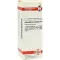 EQUISETUM ARVENSE Diluição D4, 20 ml
