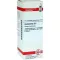 HAMAMELIS Diluição D 6, 20 ml