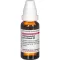 HARPAGOPHYTUM PROCUMBENS Diluição D3, 20 ml
