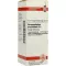 HARPAGOPHYTUM PROCUMBENS Diluição D 6, 20 ml