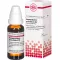 HARPAGOPHYTUM PROCUMBENS Diluição D 6, 20 ml
