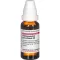 HARPAGOPHYTUM PROCUMBENS Diluição D 6, 20 ml
