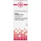 KALIUM CARBONICUM Diluição D 12, 20 ml