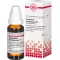 GNAPHALIUM POLYCEPHALUM Diluição D3, 20 ml