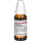 GNAPHALIUM POLYCEPHALUM Diluição D3, 20 ml