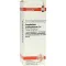 GNAPHALIUM POLYCEPHALUM Diluição D4, 20 ml