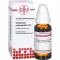 GNAPHALIUM POLYCEPHALUM Diluição D4, 20 ml
