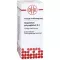 GNAPHALIUM POLYCEPHALUM Diluição D4, 20 ml