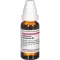 COLLINSONIA CANADENSIS Diluição D 2, 20 ml