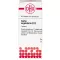 CARBO VEGETABILIS D 12 comprimidos, 80 unidades