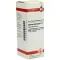 CARDUUS MARIANUS Diluição D 1, 20 ml