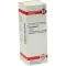 CALENDULA Tintura mãe, 20 ml