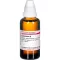 LYCOPODIUM Tintura mãe D 1, 50 ml