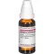SYZYGIUM JAMBOLANUM Tintura mãe D 1, 20 ml