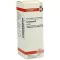 TARAXACUM Tintura mãe, 20 ml