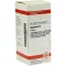 AGARICUS D 6 comprimidos, 80 unidades