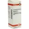 AESCULUS Diluição D 1, 20 ml