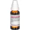 ACIDUM SULFURICUM Diluição D 6, 20 ml