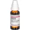 ROSMARINUS OFFICINALIS Tintura mãe D 1, 20 ml