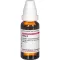 RUTA Tintura mãe, 20 ml