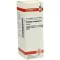 SOLIDAGO VIRGAUREA Tintura mãe, 20 ml