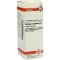 SOLIDAGO VIRGAUREA Diluição D3, 20 ml