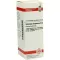 SOLIDAGO VIRGAUREA Diluição D 6, 20 ml