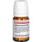 SOLIDAGO VIRGAUREA D 3 comprimidos, 80 unidades