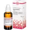 SABAL SERRULATUM Tintura mãe, 50 ml