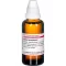 SABAL SERRULATUM Tintura mãe, 50 ml