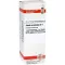 SABAL SERRULATUM Diluição D 1, 20 ml