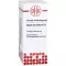 SABAL SERRULATUM Diluição D 1, 20 ml