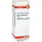 SALVIA OFFICINALIS Tintura mãe, 20 ml