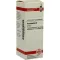 HAMAMELIS Tintura mãe, 20 ml