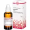 HAMAMELIS Tintura mãe, 50 ml