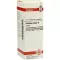 PLANTAGO MAJOR Tintura mãe, 20 ml