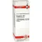 PHOSPHORUS Diluição D 8, 20 ml