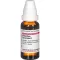 PASSIFLORA INCARNATA Tintura mãe, 20 ml