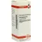 PETROSELINUM Diluição D 6, 20 ml
