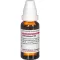 PETROSELINUM Diluição D 6, 20 ml