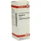OKOUBAKA Tintura mãe D 1, 20 ml