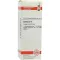 CACTUS Diluição D 6, 20 ml