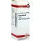 AVENA SATIVA Tintura mãe, 20 ml