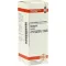 ARNICA Tintura mãe D 1, 20 ml