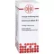 ARSENICUM ALBUM Diluição D 8, 20 ml