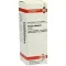 VISCUM ALBUM Tintura mãe, 20 ml