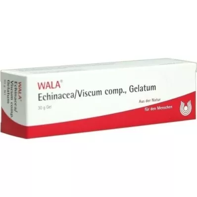 ECHINACEA/VISCUM comp.Gelatum, 30 g ECHINACEA/VISCUM comp.Gelatum, 30 g