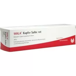 KUPFER SALBE vermelho, 100g